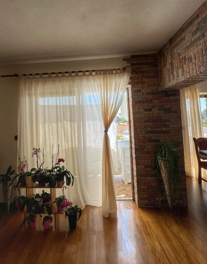 Apartmani Mia Palit Ngoại thất bức ảnh