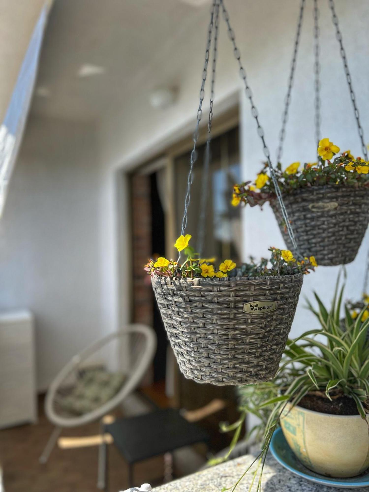 Apartmani Mia Palit Ngoại thất bức ảnh